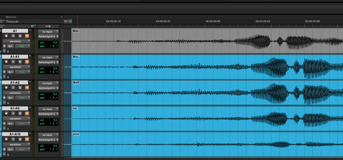 Master track with its named assembly tracks in Pro Tools